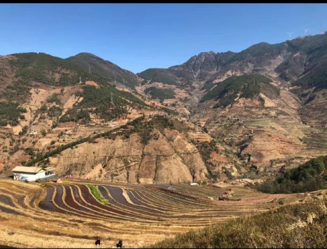新山梯田旅行图片 3