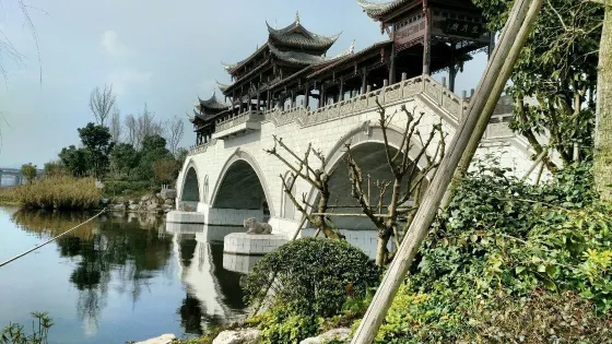 河東蓮裏公園