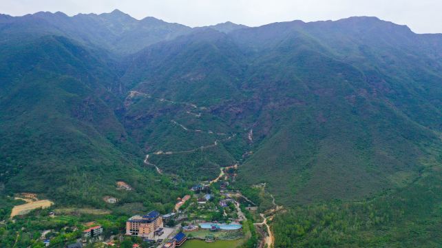 莲花山森林公园