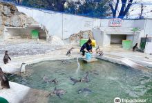 Hinotonton Zoo (Hamura Zoo)景点图片