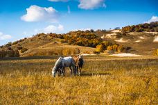乌兰布统草原-克什克腾旗