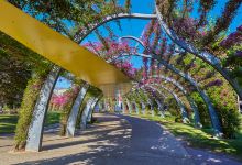 南岸公园景点图片