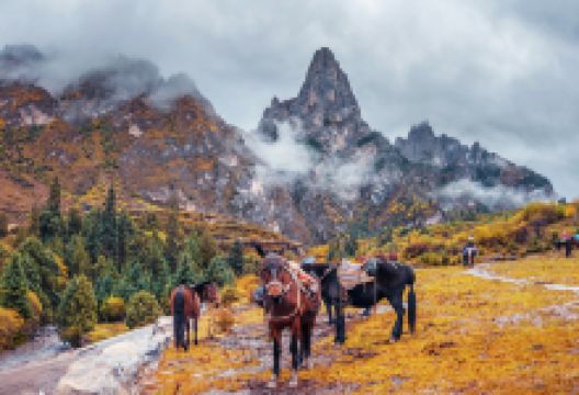 扎尕那景点图片