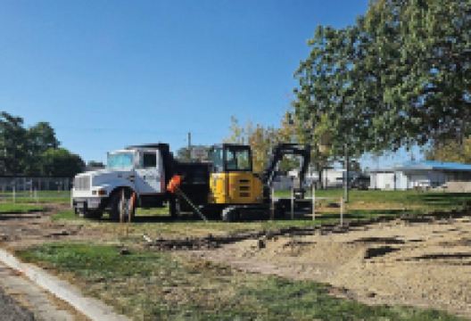 Nyssa Lion's Park景点图片