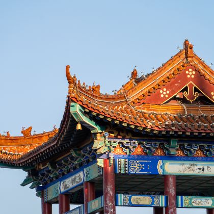 漯河+神州鸟园+河上街古镇+许慎文化园+南街村+小商桥+临颍县杨再兴纪念馆4日3晚私家团