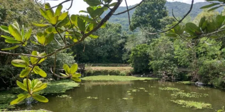 馬太鞍溼地生態園區