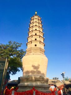 白塔山公园-兰州-青青翠竹