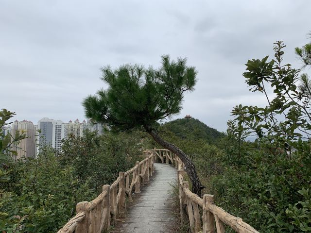 云贵山山头公园旅行图片 2