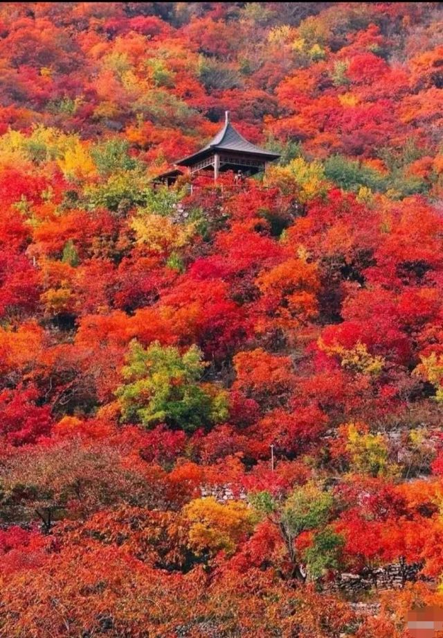 东坝公园旅行图片 2