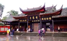 报国寺-峨眉山-轻轻的一个蚊