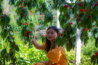 美女带你走进汶川采摘车里子