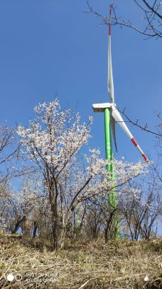 大幕山森林公园-通山-YoYo_2V7C6H1M