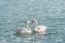 沃尔夫冈湖-圣吉尔根