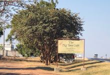 Fig Hvar美食图片