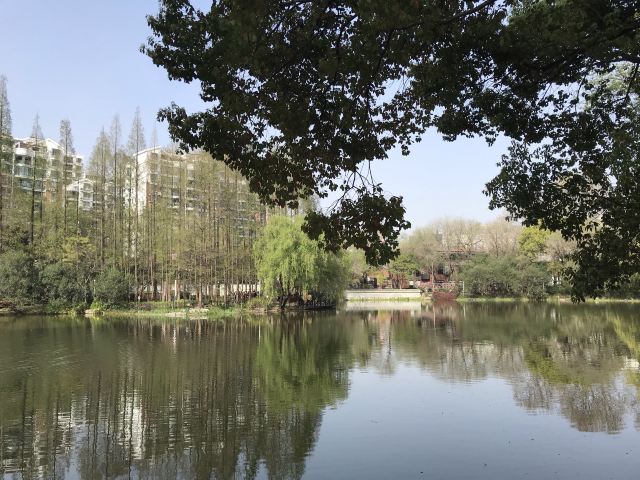 天山公园旅行图片 3