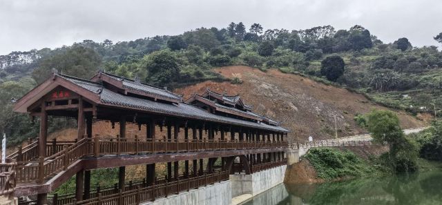 凤鼎天下穿越丛林旅行图片 2