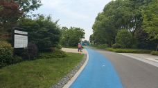 上海中医药博物馆-上海-chenweiwen