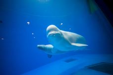 淮安-UID_M455900494