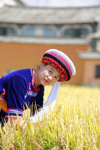 大理喜洲稻田黄了，旅拍正当时（内附精美图片）