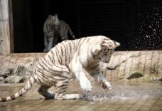 茂名森林公园-茂名-C-IMAGE