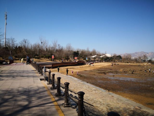 唐岛湾滨海公园-观景台旅行图片 4