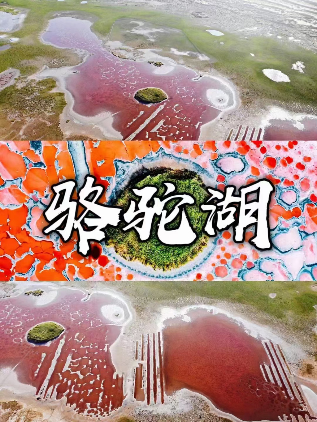 瀚海秘境，腾格里沙漠基础五湖穿越 - 阿拉善游记攻略【携程攻略】
