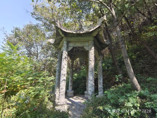 蟠龙山森林公园