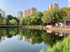 和平公园-上海-霞光升起