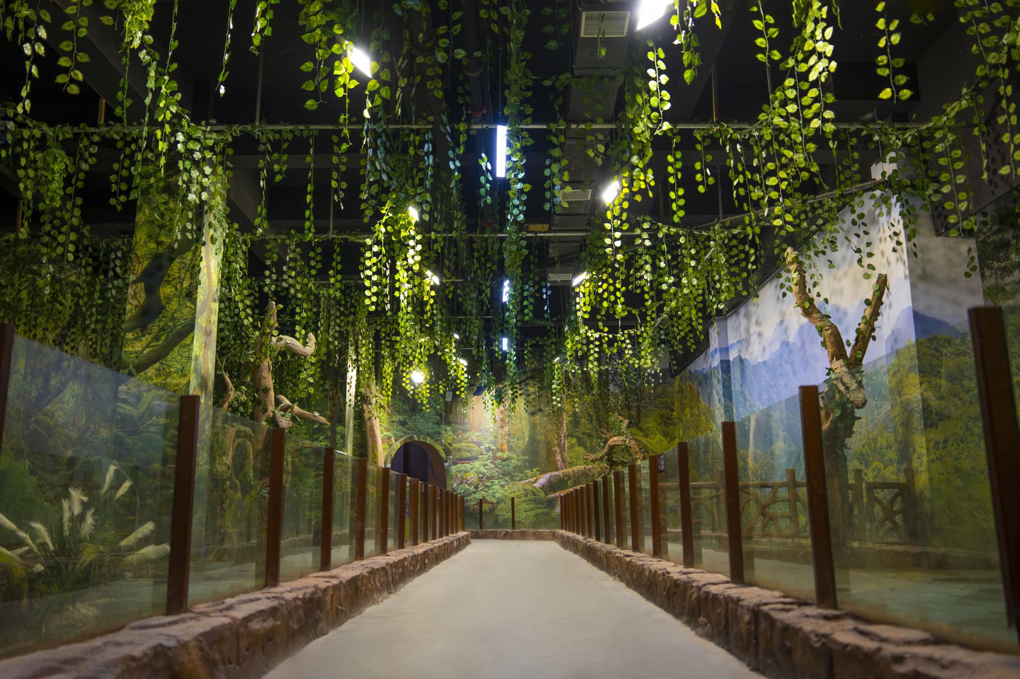 Gallery 1