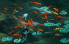 宽心小镇-新余-C-IMAGE