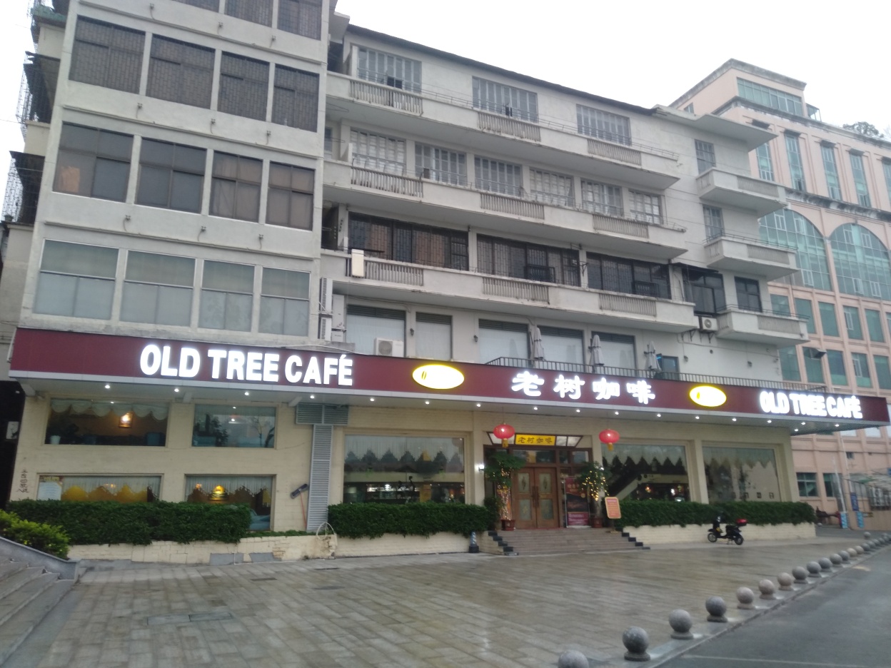OLD TREE 老树咖啡·西餐(台山人工湖店)