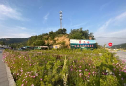 苍儿会生态旅游经济区景点图片