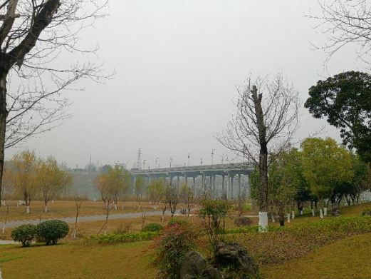 清溪湿地公园