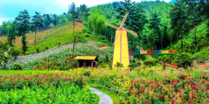 安吉花舞江南四季花海景區
