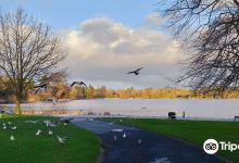 Lurgan Park景点图片
