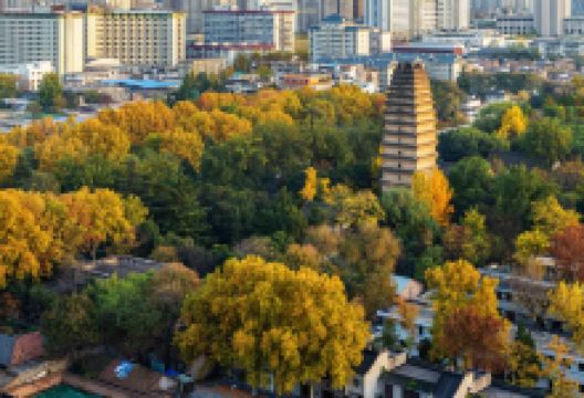 小雁塔遗址公园景点图片