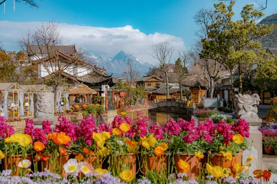 丽江古城