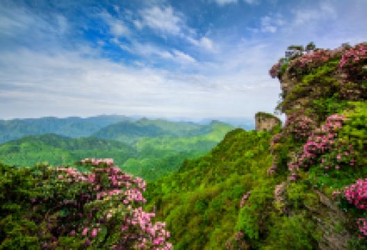 光雾山旅游景区景点图片