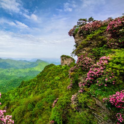 成都+光雾山旅游景区+阆中古城+恩阳古镇5日4晚私家团