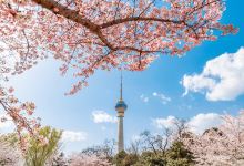 玉渊潭公园景点图片