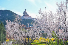 龙口南山旅游景区-龙口