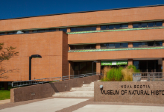 自然历史博物馆景点图片