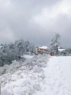 阳宝山旅游度假区-贵定-肥肥熊