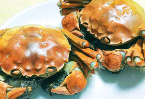 相城区游记图文-莫怪老夫出手狠！这是打开阳澄湖大闸蟹的正确方式