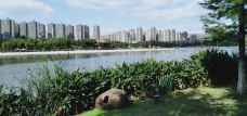 塘西河沙滩公园-合肥-牛奶海
