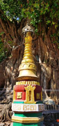 树包塔-芒市-逍遥糊涂仙1971