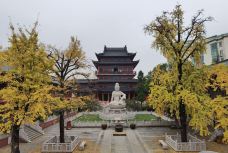 毗卢寺-南京-魔女锦鲤