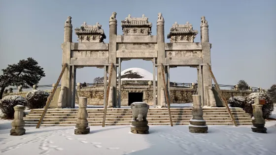 元帥林