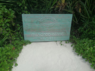 第二次麻袋之行-米莱度(Milaidoo)
