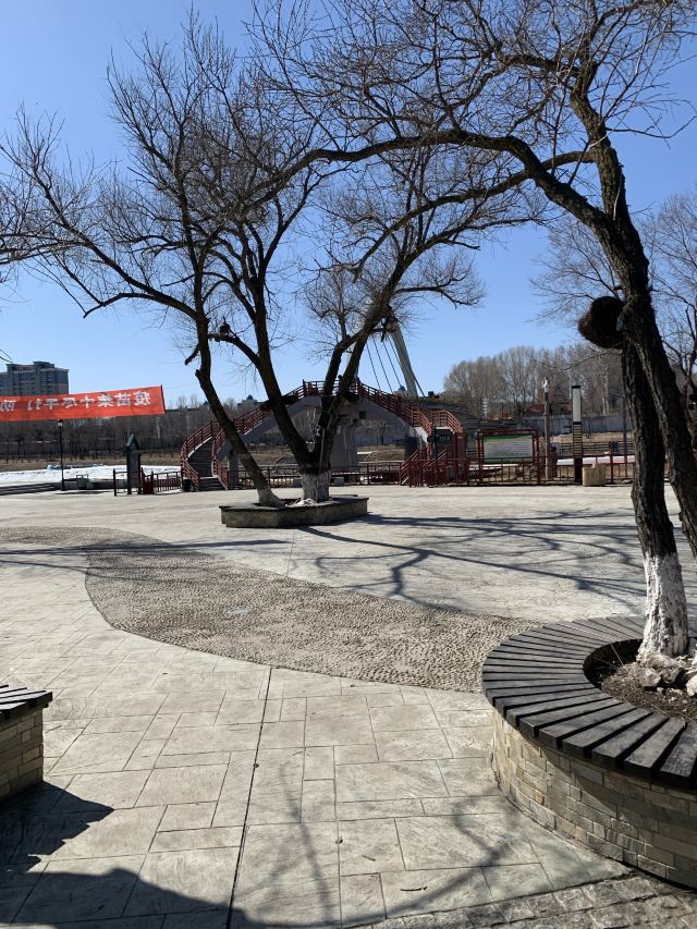 黑河市大岛植物园旅行图片 2